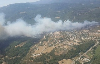 İzmir'in Menderes ilçesinde orman yangını...